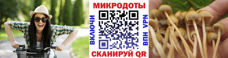 Псилоцибиновые грибы Cubensis  Борзя 